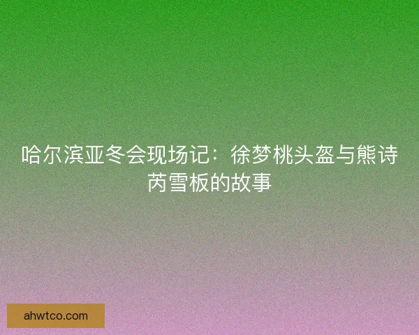 哈尔滨亚冬会现场记：徐梦桃头盔与熊诗芮雪板的故事